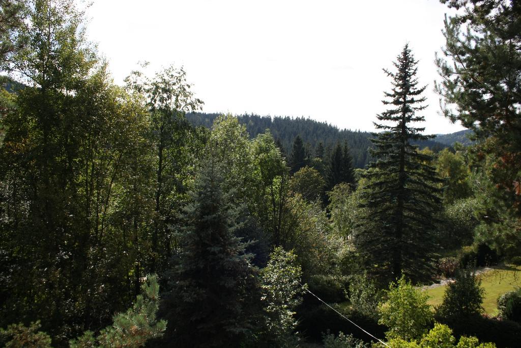 Konvalinka - Ubytovani V Soukromi Harrachov Luaran gambar